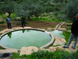 טבילה של גיבורים, מעיין הגבורה מעיין, עלי טבילה של גיבורים, מעיין הגבורה מעיין, עלי