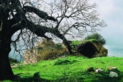עלה ראש הפסגה, הר ארטיס (פסגת יעקב), טיול, בית אל עלה ראש הפסגה, הר ארטיס (פסגת יעקב), טיול, בית אל