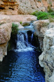 אבי המעיינות, עין מבוע [פואר] מעיין, נחל פרת [ואדי קלט]