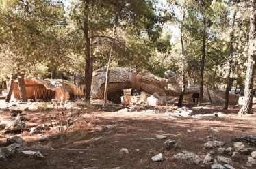 לילה לבן בשדות בית לחם, נווה אפרת, מלון בוטיק, אפרת