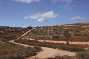 סיבוב על חשבון אבא, דרך האבות טיול, אלון שבות - נוה דניאל סיבוב על חשבון אבא, דרך האבות טיול, אלון שבות - נוה דניאל