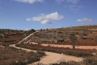 מרכז גוש עציון