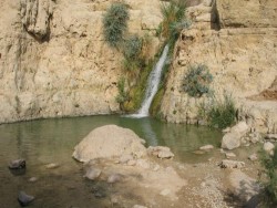 סיורים חדשים