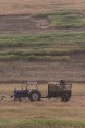 נגיעה בלכיש | נגוהות נגיעה בלכיש | נגוהות