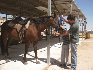 רוץ בן סוסי, חוות תחיה חוות סוסים, יתיר