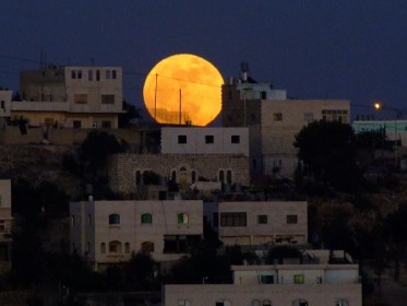 קפה ומאפה | אוכל בקרית ארבע 